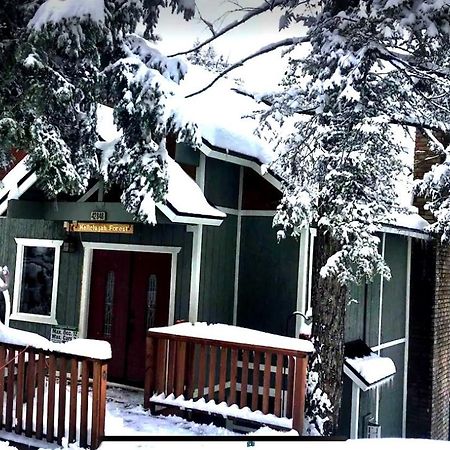 Hallelujah Forest Villa Big Bear Lake Exterior foto